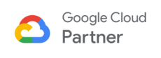 Damavis Google Partner