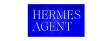 Hermes Agent Damavis Services Technologies