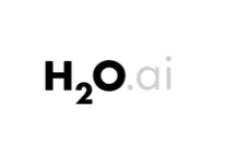H2O.AI Damavis Services Technologies